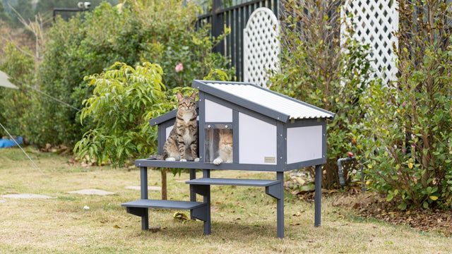 DIY-Outdoor-Cat-House-Easy-Instructions-Using-PETSFIT PETSFIT STORE