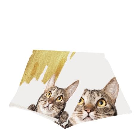 PETSFIT Diy Small Animal House PETSFIT