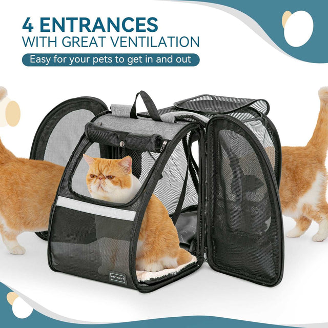Expanded carrier with multiple mesh doors open and cat inside, demonstrating four entry points and strong all around airflow.