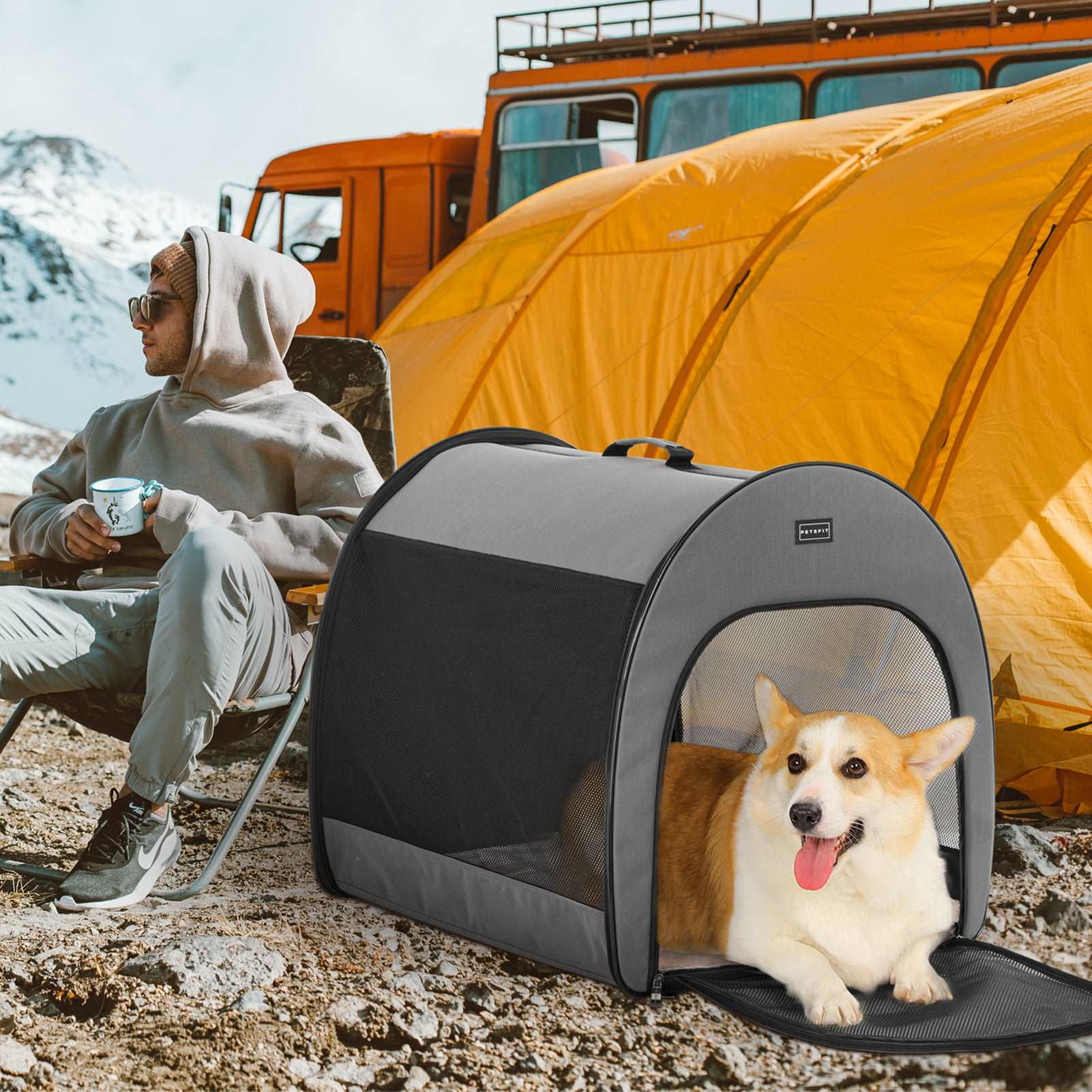 Carrying On A Portable Dog Crate photo