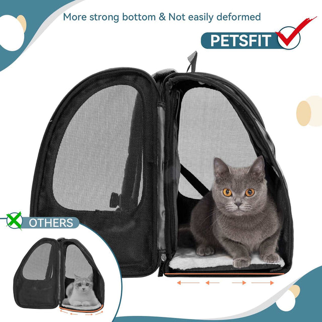 Side by side view of expanded carrier with cat seated inside, emphasizing rigid bottom support and wide mesh ventilation panels.
