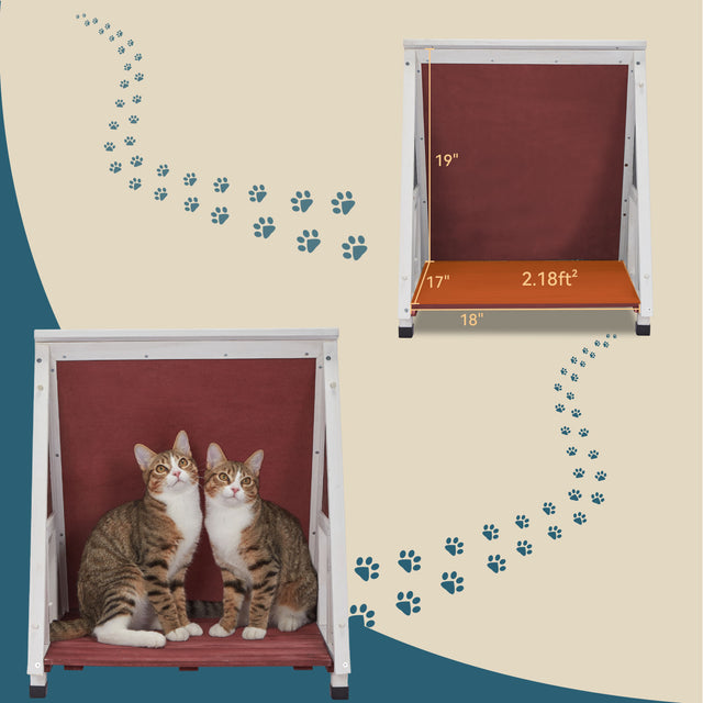Interior view of the cat shelter shows roomy floor space and height dimensions, with two tabby cats sitting comfortably inside.