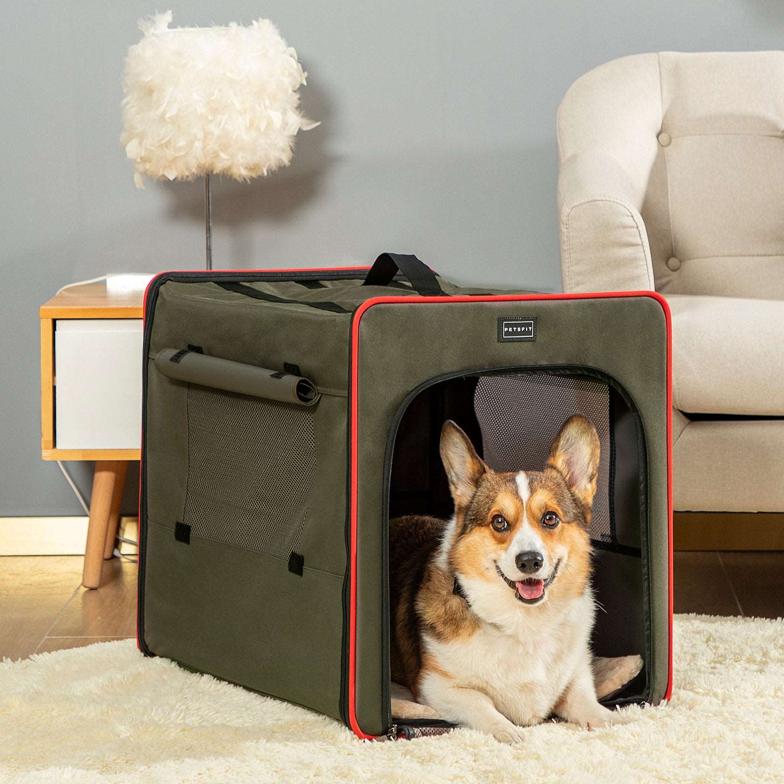 Petsfit Dog Sturdy Wire Frame Soft Pet Crate Collapsible for Travel