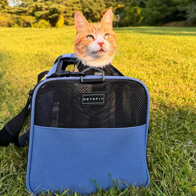 PETSFIT backpack pet carrier airline approved Upgraded Patented Car Buckle Blue - Pet Supplies