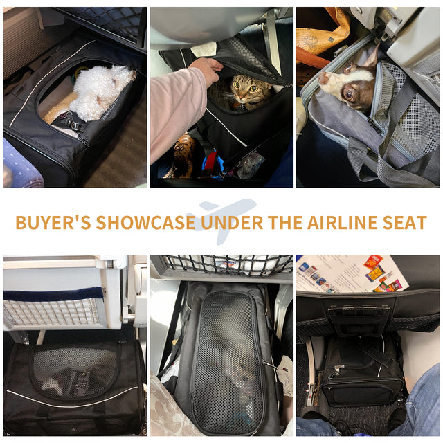 Customer travel collage shows cats and small dogs in carriers stowed under airline seats, with mesh tops visible in cabin rows.
