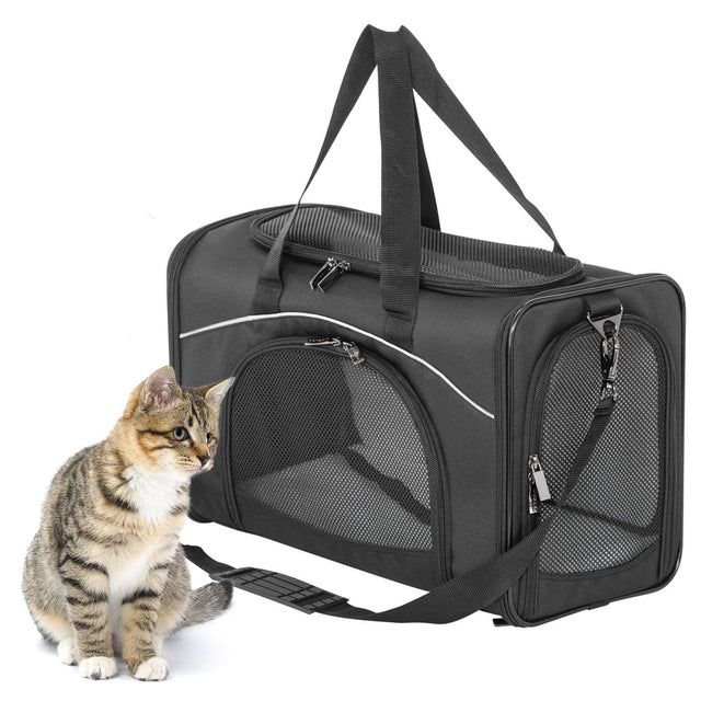 Tabby cat sits beside a black pet carrier featuring mesh side panels, top ventilation, carry handles, and shoulder strap.