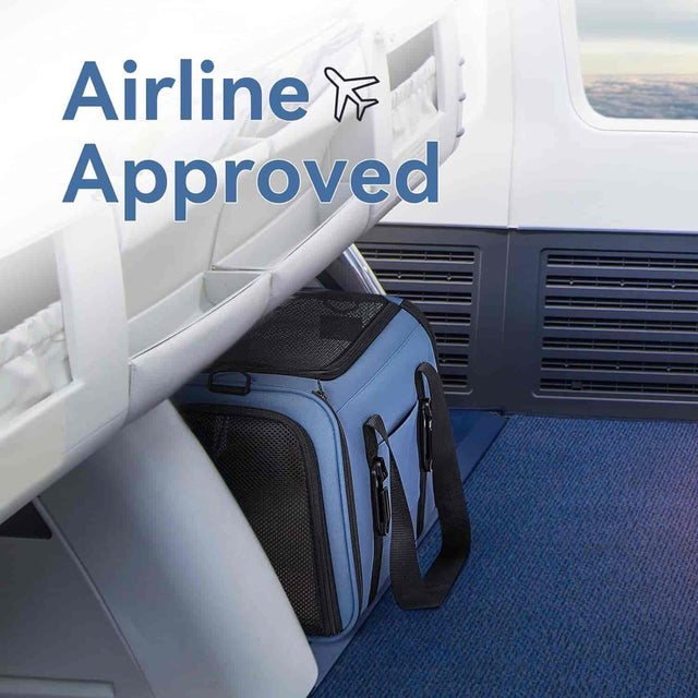 PETSFIT backpack pet carrier airline approved Upgraded Patented Car Buckle Blue - Pet Supplies