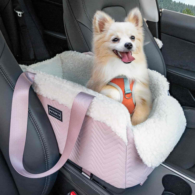 PETSFIT Center Console Dog Car Seat PETSFIT
