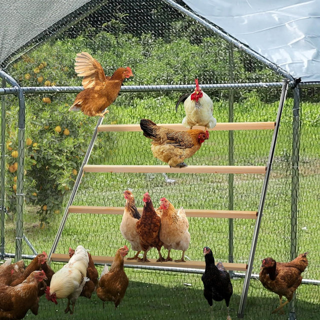 PETSFIT Chicken Roosting Perch Perfect for Backyard Poultry Chicken Perch for Coop Chicken Toys - PETSFIT STORE