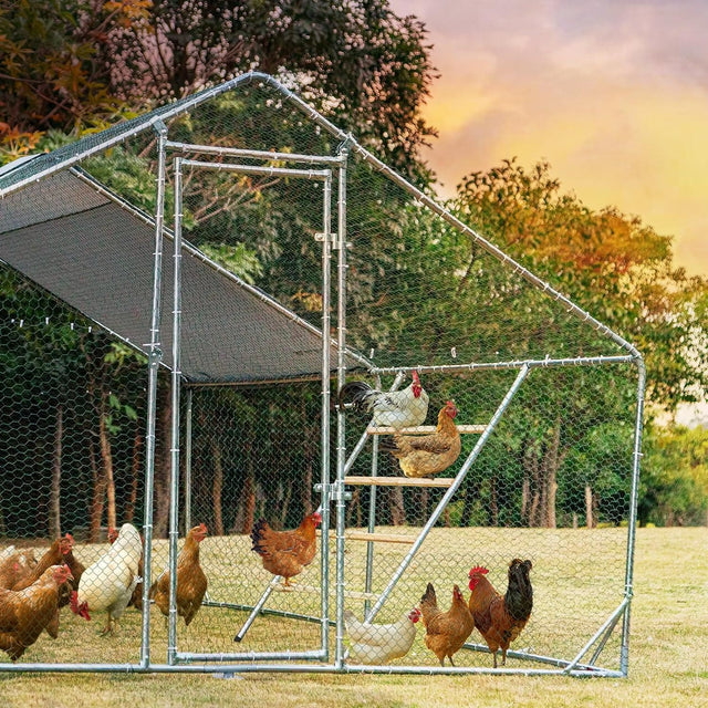 PETSFIT Chicken Roosting Perch Perfect for Backyard Poultry Chicken Perch for Coop Chicken Toys - PETSFIT STORE