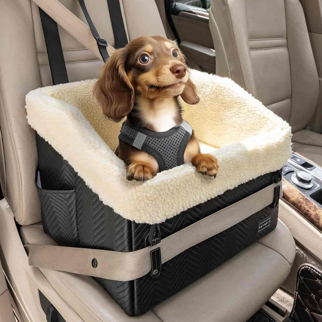 PETSFIT Small Dog Car Seat PETSFIT STORE