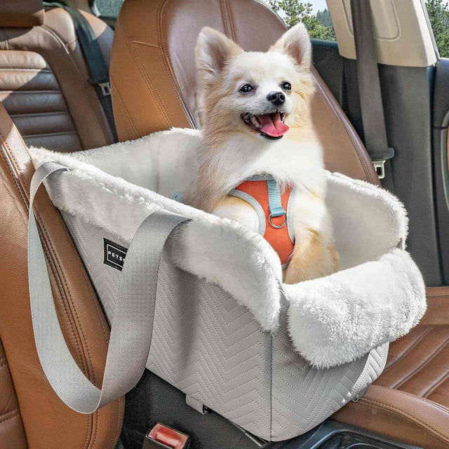 PETSFIT Small Dog Console Car Seat PETSFIT