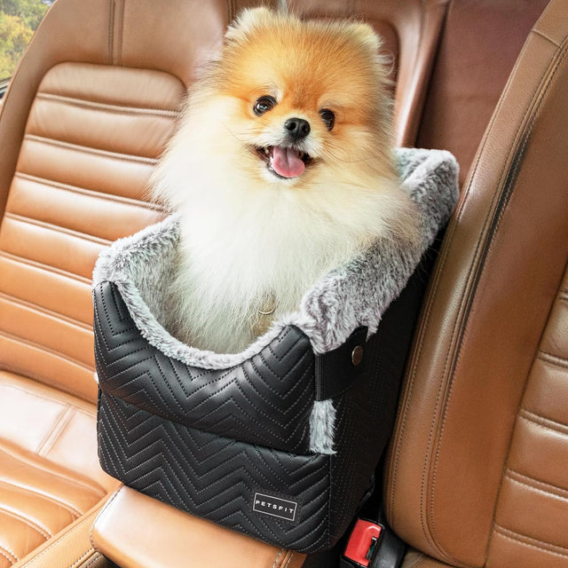 Happy Pomeranian rides in a black console dog car seat between tan leather seats, with cushioned sides for support.