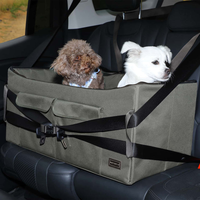 Two small dogs relax in a back-seat dog booster seat, held by multiple safety straps for stable comfortable car travel.