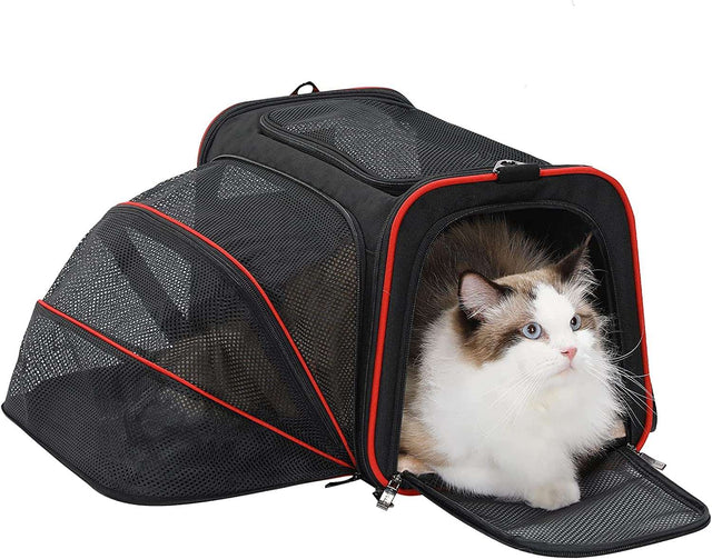 PETSFIT Expandable Pet Carrier for Cats and Dogs, offering extra space for a comfortable journey outdoors.