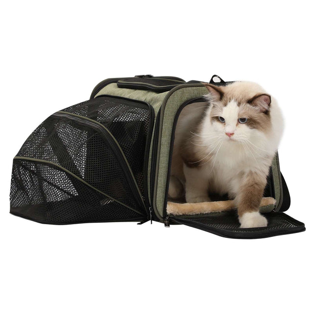 PETSFIT Expandable Pet Carrier for Cats and Dogs, offering extra space for a comfortable journey outdoors.