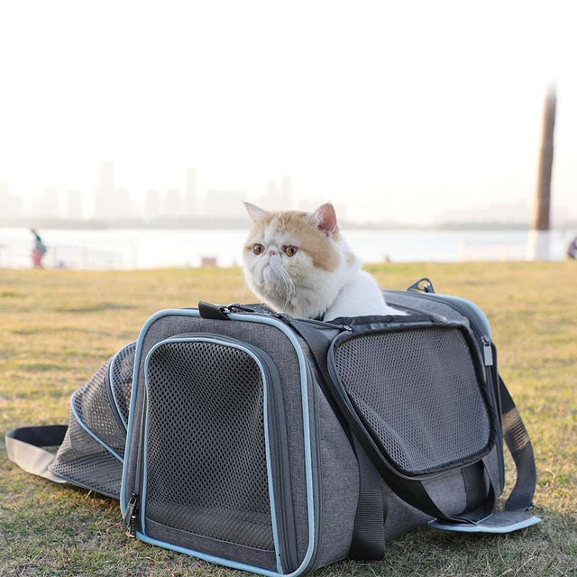 PETSFIT Expandable Pet Carrier for Cats and Dogs, offering extra space for a comfortable journey outdoors.