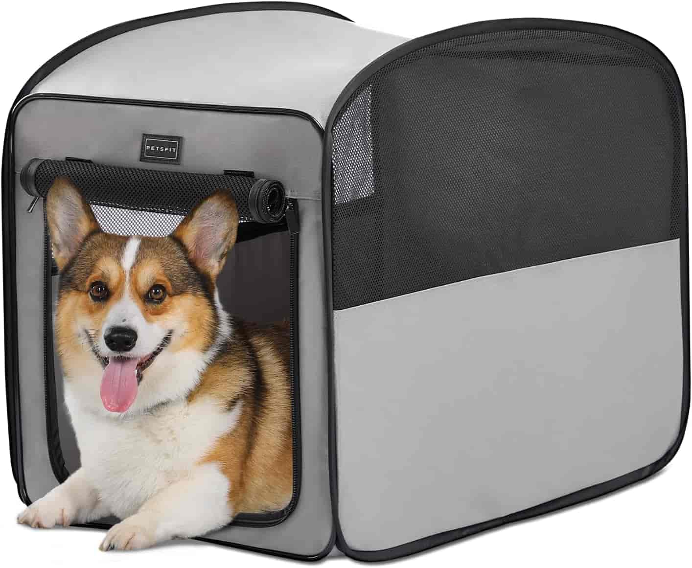 Beautiful view of Pet Crate With Collapsible Top And Strap