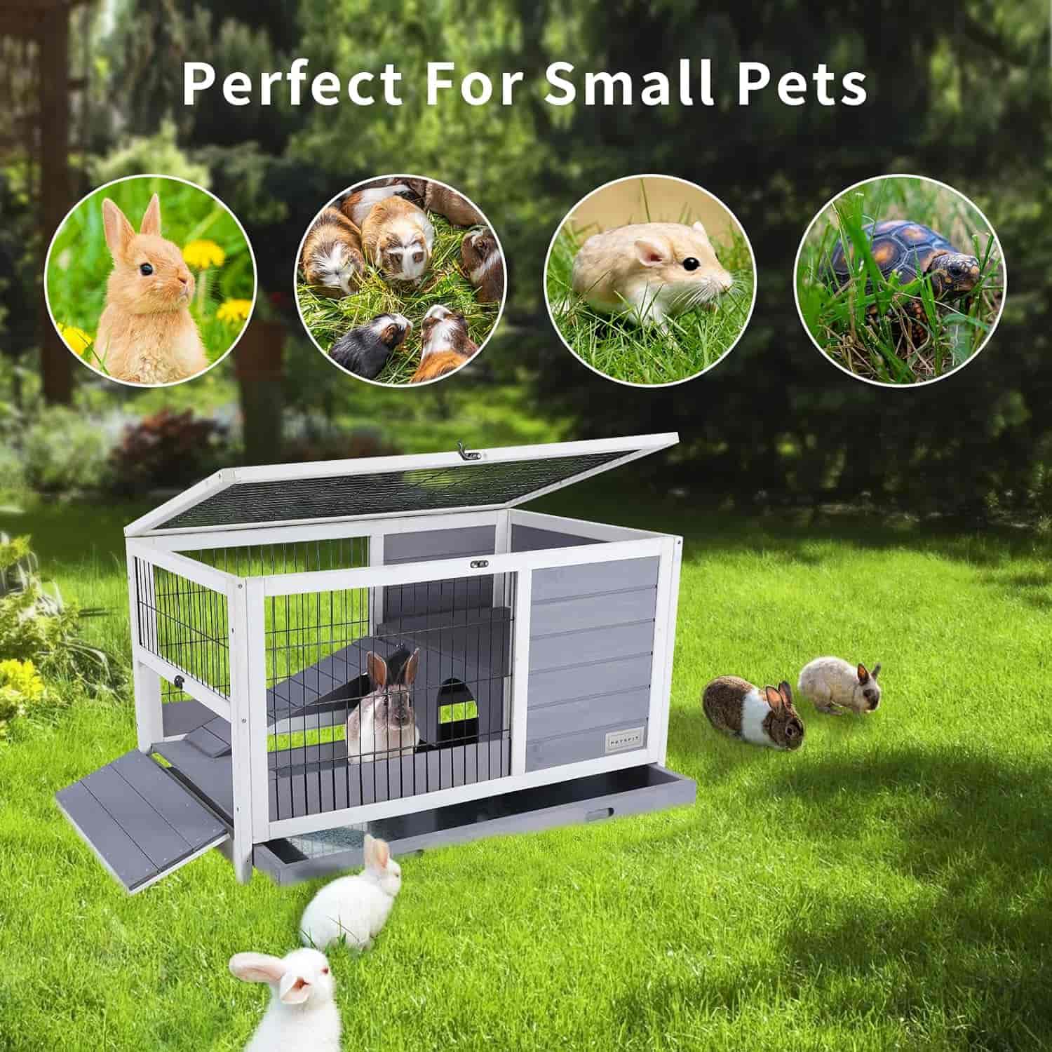 PETSFIT Small Animal House Leak Proof Design