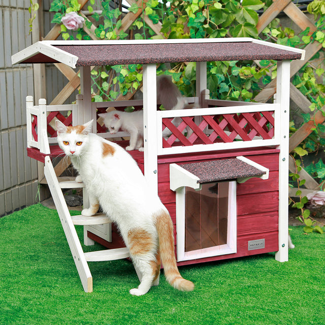 Red and white outdoor cat house in backyard scene, with an adult cat on the steps and a kitten exploring the upper deck.