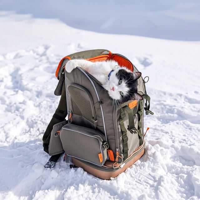 Black and white cat peeking out from inside open PETSFIT WILDPATH army green hiking backpack on snowy ground — orange interior mesh, multiple zippered compartments