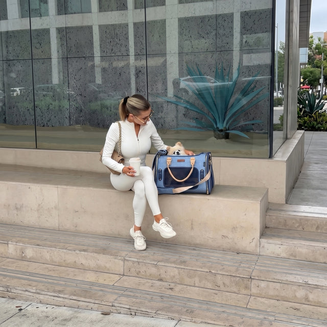 Stylish woman in white athletic outfit sitting on outdoor steps with fluffy Pomeranian peeking from open PETSFIT Vira Blazer blue denim pet carrier tote bag — urban lifestyle pet travel