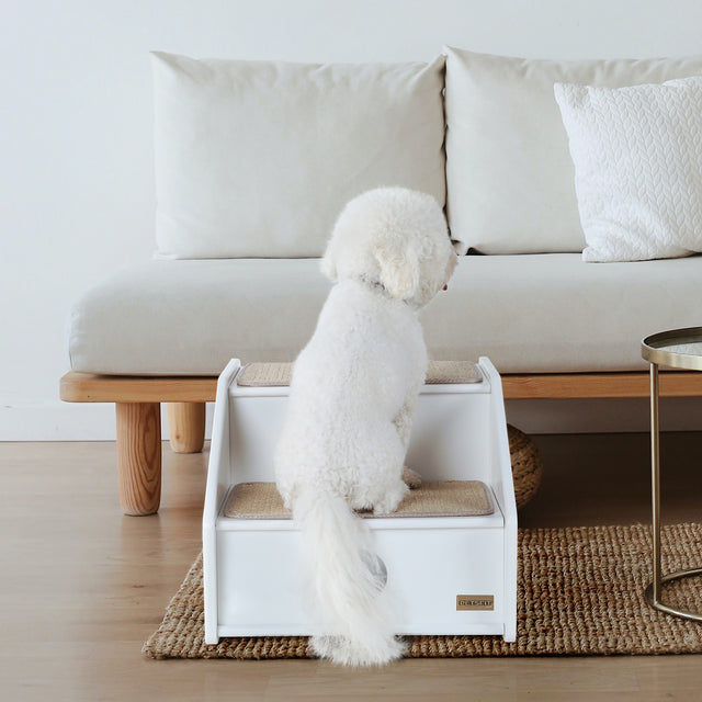 Fluffy white dog sitting on PETSFIT 2-step white wooden pet stairs next to a modern sofa, demonstrating safe and easy sofa access