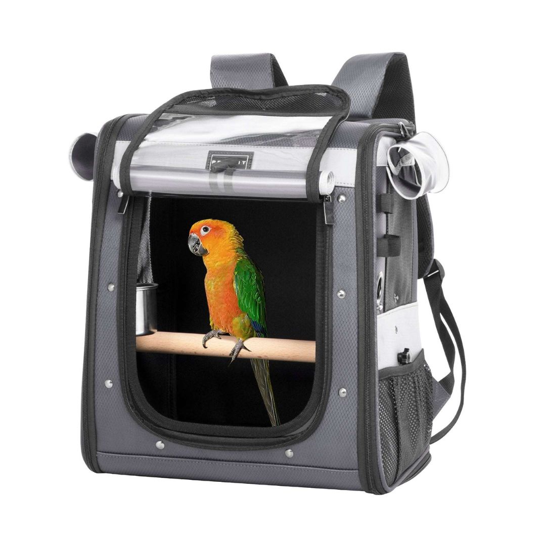 Pet Parrot Carrier Bird Travel Bag Backpack Space Capsule Transparent Pet Parrot Carrier Bird Travel Bag Backpack Space Capsule Transparent