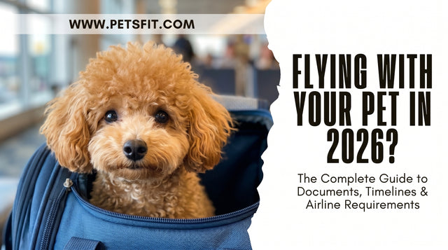 PETSFIT Two-Way Placement Dog Carrier Airline Approved Small Animals Carriers for Kittens