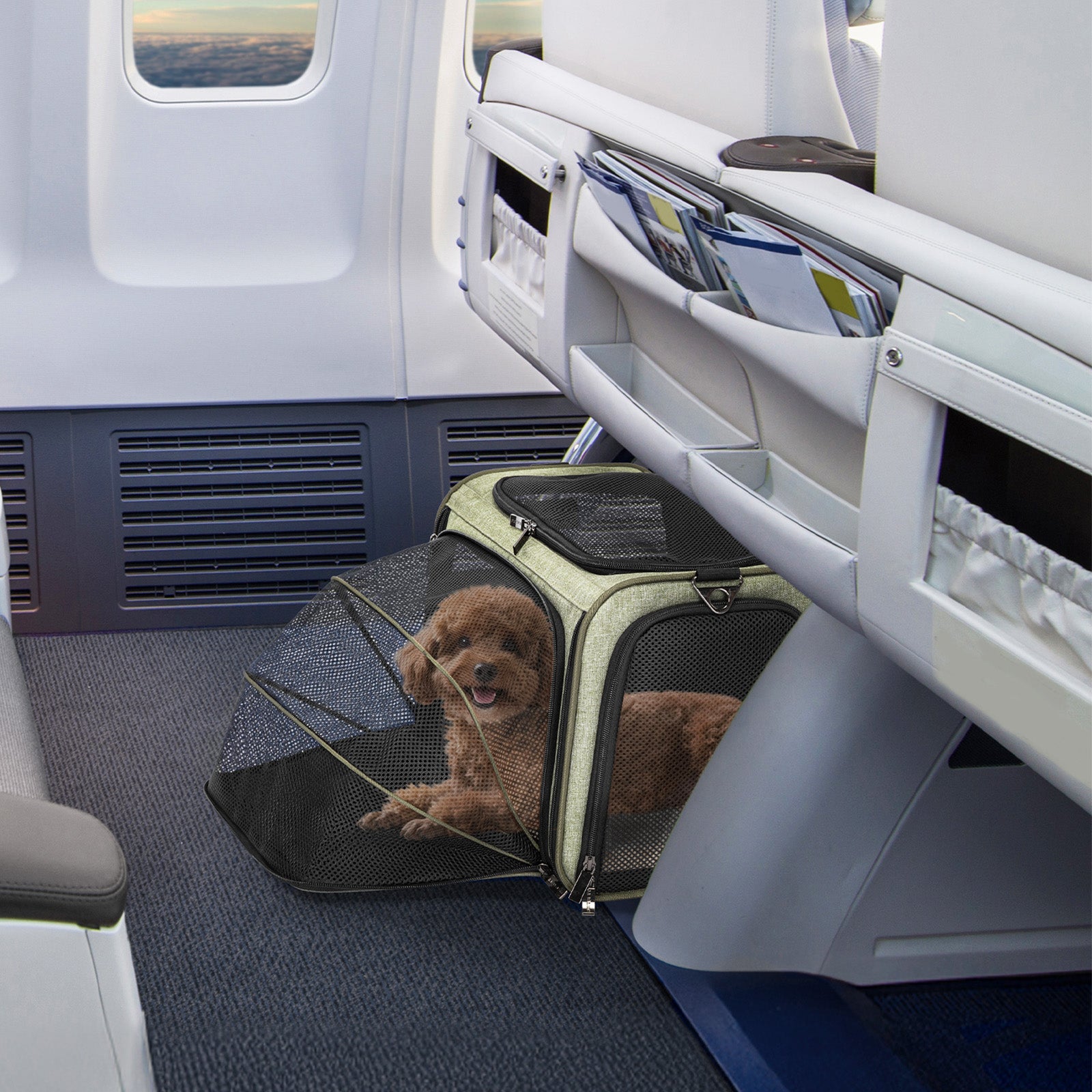 In Cabin United Airlines Kennel Requirements Airplane United Pet