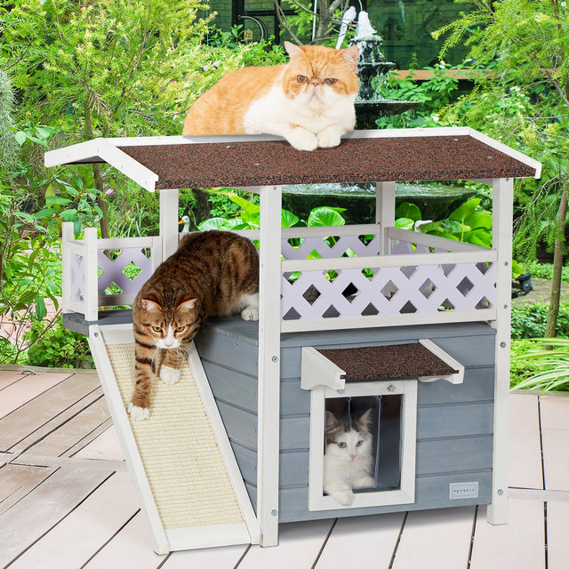 PETSFIT 2-story outdoor wooden cat house in lush garden setting with orange Exotic Shorthair cat on roof and tabby cat walking down sisal ramp, blue gray painted wood