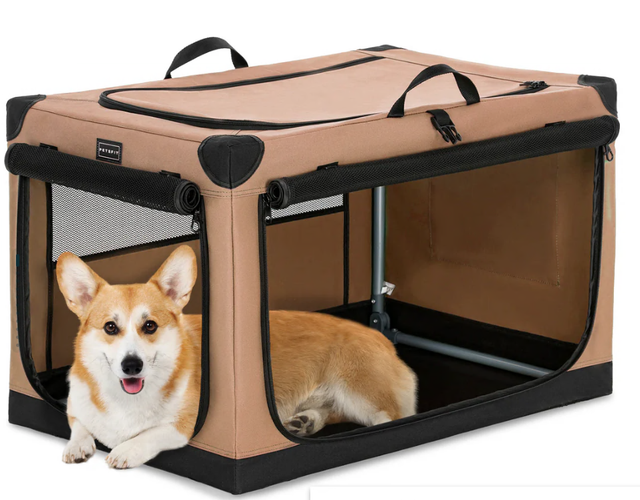 PETSFIT UNIQUEMENT pour une utilisation de paiement de remplacement