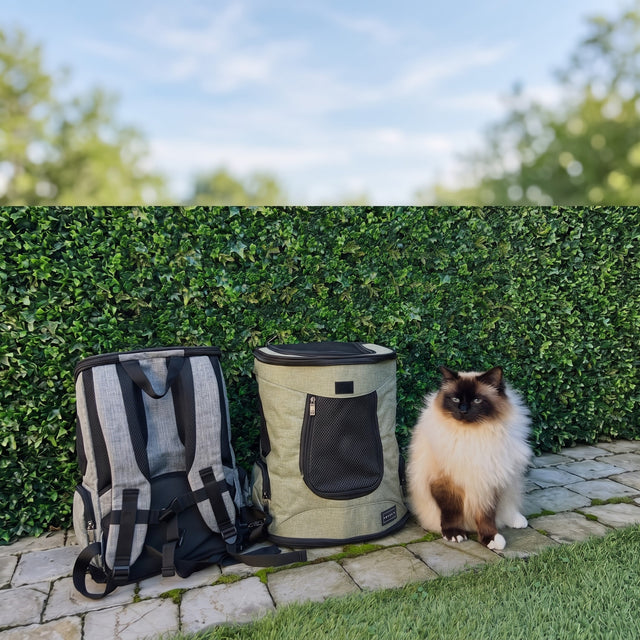 Ragdoll cat on PETSFIT gray soft pet backpack carrier with seaside ocean view and rocks in background