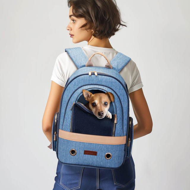 Woman wearing the dog backpack with a small pup looking out front, showing hands-free carrying and everyday commuter fit