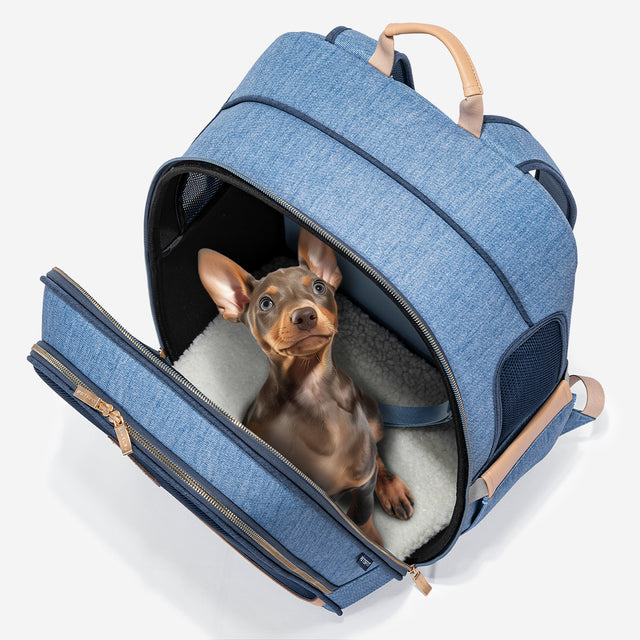 Small dog resting inside the opened backpack on a plush liner, showing roomy interior and easy front-entry access.