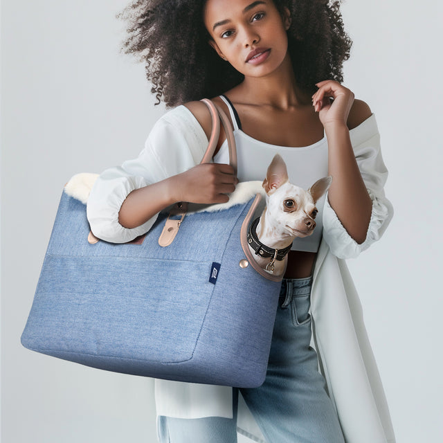 Pet owner carrying PETSFIT denim pet tote outdoors with small dog inside