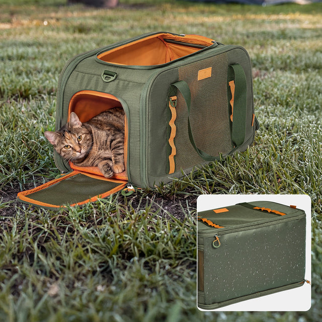 Tabby cat lying inside open PETSFIT WILDPATH olive green pet travel carrier on grass with orange interior visible, inset showing collapsed flat storage form