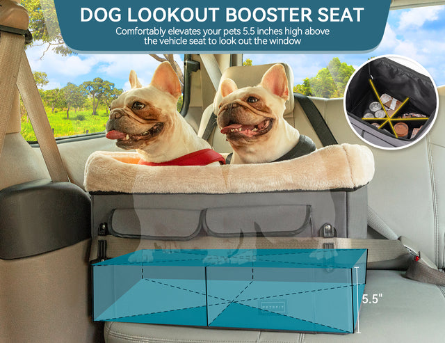Two Frenchies sit elevated in a dog booster seat, peeking out the window with added base support and storage below.