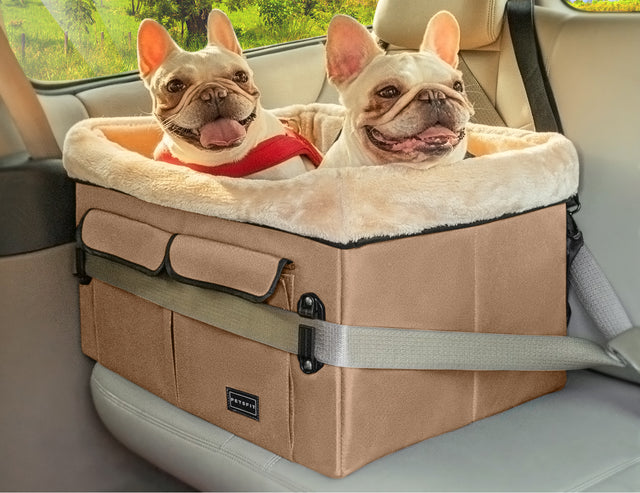 Tan booster seat for dogs holds two smiling Frenchies, with plush bolsters and secure belt wrap across the car seat.