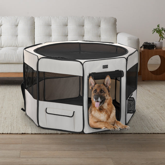 German Shepherd dog resting inside PETSFIT beige octagonal dog playpen in modern living room — indoor pet playpen for medium large dogs