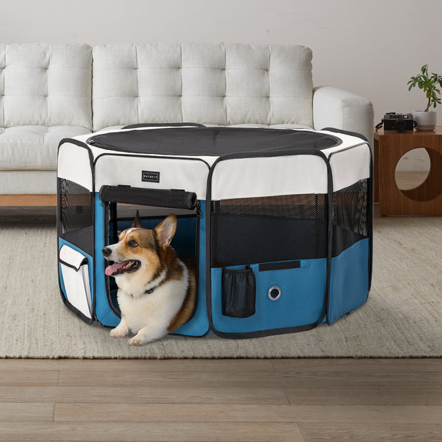 Corgi dog inside PETSFIT blue and white octagonal dog playpen on living room carpet — portable indoor outdoor pet playpen with mesh top and storage pockets