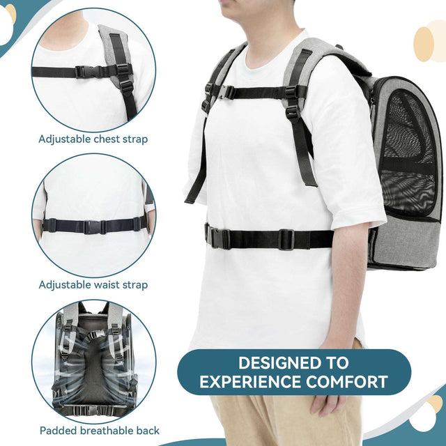 PETSFIT Expandable Backpack Carrier for Cats - Adjustable Chest Strap and Waist Strap