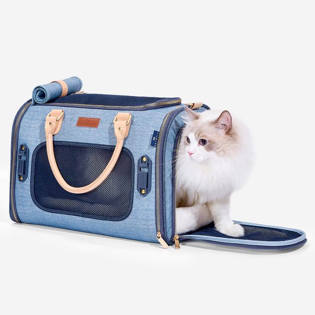 Small cat enjoying the view from Petsfit stylish denim backpack carrier during outdoor adventure