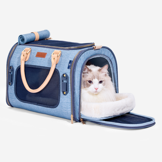 Secure locking zippers and multiple air vents on Petsfit fashion pet backpack ensure pet safety and airflow