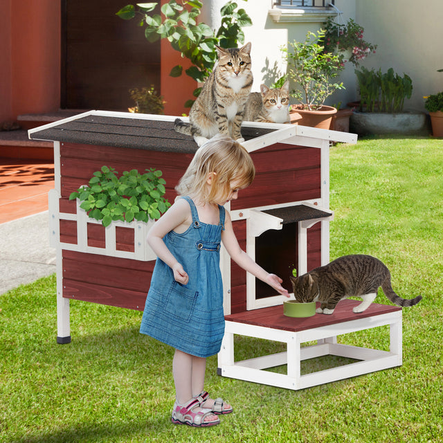 In a sunny yard, a child feeds a tabby on the front deck while two cats perch on top of the outdoor cat house.