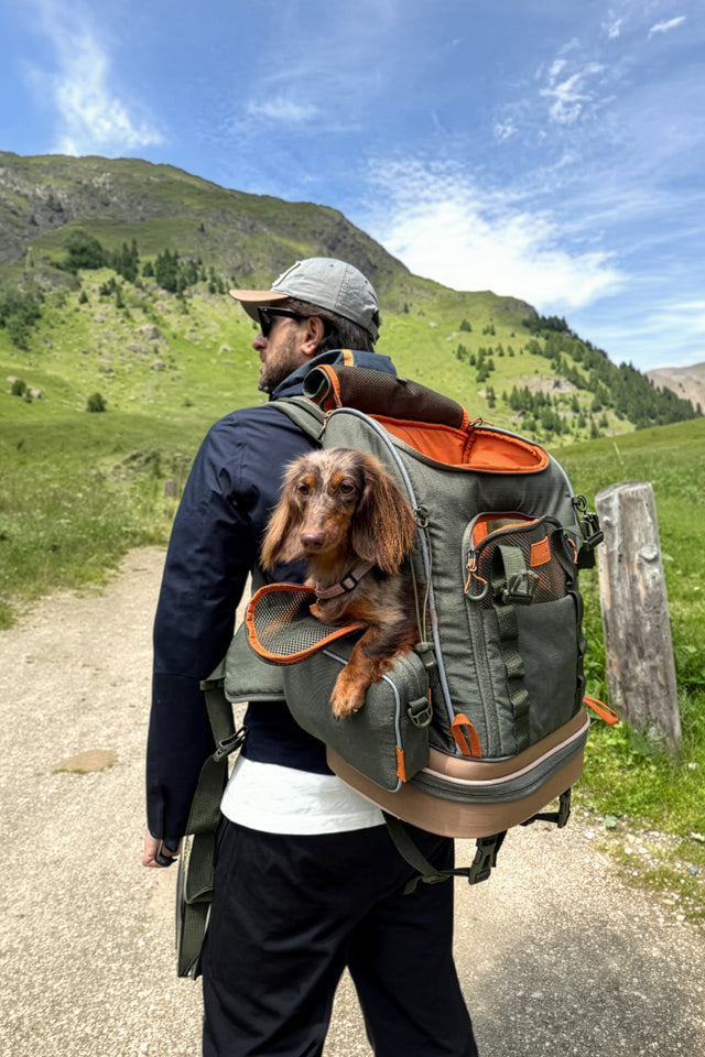 Man walks a gravel mountain trail with a long-haired dachshund riding in an olive pet carrier backpack