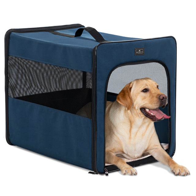 A soft blue Petsfit indoor dog bed placed in a cozy home corner