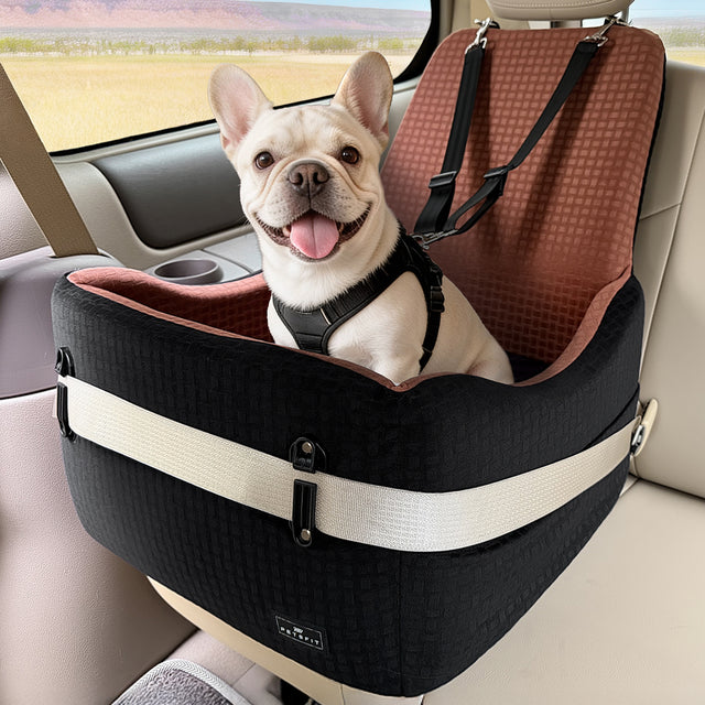 French Bulldog in PETSFIT dog car seat with brown interior, safety buckle looped through vehicle seat belt on rear seat