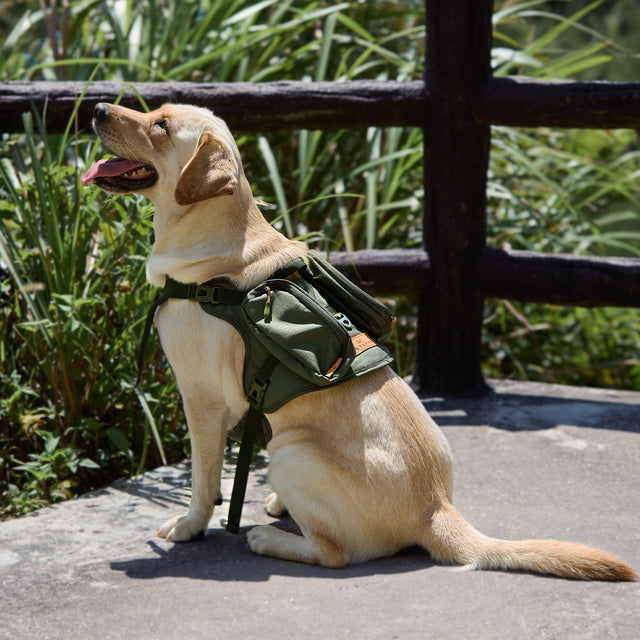 PETSFIT WILDPATH Saddle Bag Dog Harness for Large Dogs