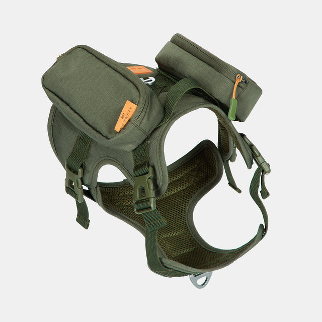 Adventure Together Stay in Control with WILDPATHтм Harness